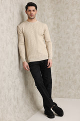 TEXTURED CREW NECK SWEATER-BEIGE